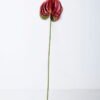 Artificial Flower 12*67CM ANTHURIUM GS-52120001-R2 1 Artificial Flower 12*67CM ANTHURIUM GS-52120001-R2