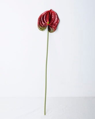 Artificial Flower 12*67CM ANTHURIUM GS-52120001-R2