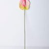 Artificial Flower 12*67CM ANTHURIUM GS-52120001-R3 1 Artificial Flower 12*67CM ANTHURIUM GS-52120001-R3
