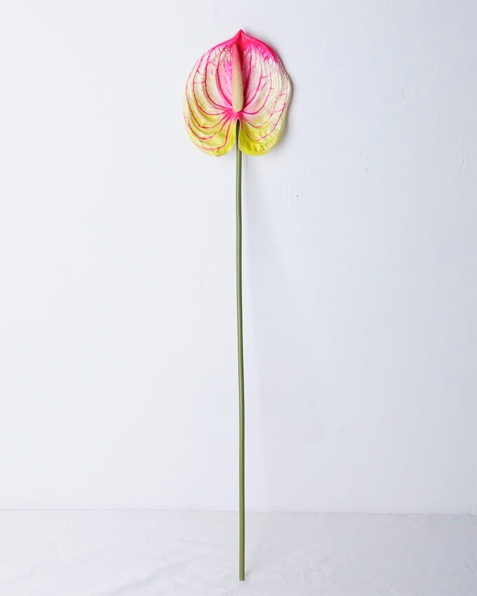 Artificial Flower 12*67CM ANTHURIUM GS-52120001-R3 1 Artificial Flower 12*67CM ANTHURIUM GS-52120001-R3