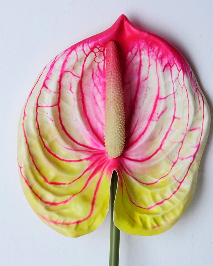 Artificial Flower 12*67CM ANTHURIUM GS-52120001-R3 2 Artificial Flower 12*67CM ANTHURIUM GS-52120001-R3