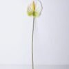 Artificial Flower 12*67CM ANTHURIUM GS-52120001-W1