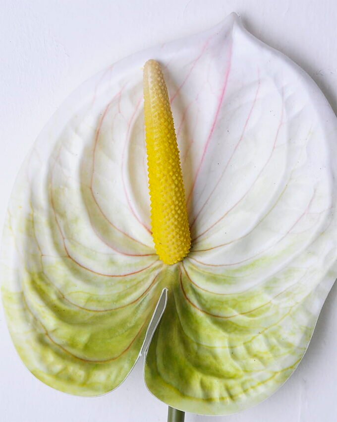 Artificial Flower 12*67CM ANTHURIUM GS-52120001-W1