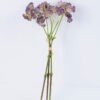 Artificial Flower 14*30cm Berry Bouquet*3 GVC-20-2688-Z1 1 Artificial Flower 14*30cm Berry Bouquet*3 GVC-20-2688-Z1