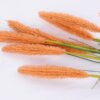 Artificial Flower 11*103CM Bristlegrass Spray*8 GS-27920003-K1
