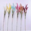 Artificial Flower 11*103CM Bristlegrass Spray*8 GS-27920003 1 Artificial Flower 11*103CM Bristlegrass Spray*8 GS-27920003