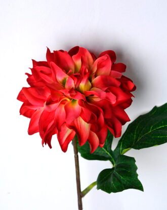 Artificial Flower 8.5*34CM Dahlia GS-46320001-R1 Single Flowers YeahFlower is one of Chinese leading OEM manufacturers and exporters , supplying the silk flowers, wholesale artificial trees Artificial Flower 8.5*34CM Dahlia GS-46320001-R1