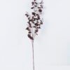 Artificial Flower 22*90CM Dancing Orchid*5 GS-26220002 1 Artificial Flower 22*90CM Dancing Orchid*5 GS-26220002