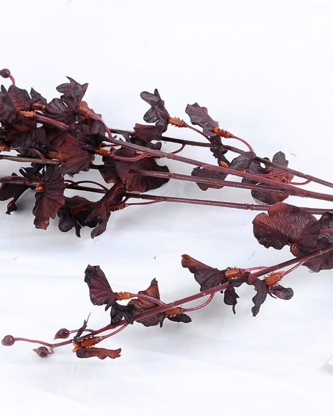 Artificial Flower 22*90CM Dancing Orchid*5 GS-26220002 3 Artificial Flower 22*90CM Dancing Orchid*5 GS-26220002