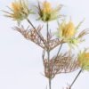 Artificial Flower 19*71CM Eryngo GS-58720007-C1