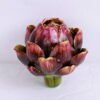 Artificial Flower 10.5*10.5*10CM Eucomis comosa GS-59020001-R1