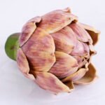 Artificial Flower 8*7.5*8CM Eucomis comosa GS-59020002-K1