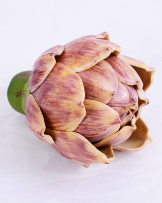 Artificial Flower 8*7.5*8CM Eucomis comosa GS-59020002-K1