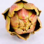Artificial Flower 8*7.5*8CM Eucomis comosa GS-59020002-Y1