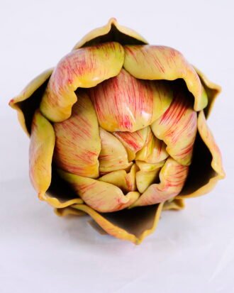 Artificial Flower 8*7.5*8CM Eucomis comosa GS-59020002-Y1