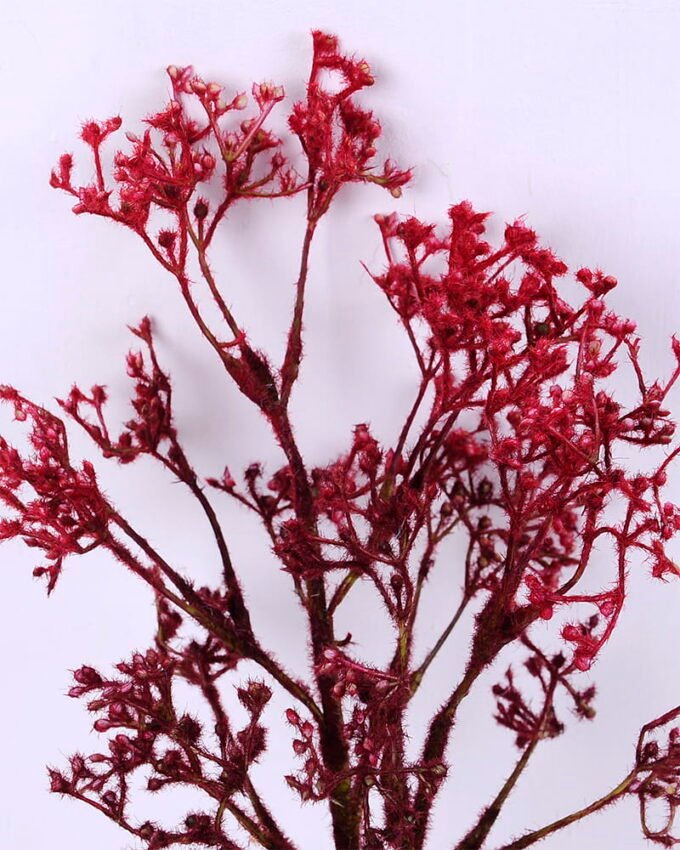 Artificial Flower 19*40CM Gypsophila Spray GS-27920002-C1