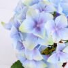Artificial Flower 30*28*27CM Hydrange in plastic pot GS-15420014-B1 2 Artificial Flower 30*28*27CM Hydrange in plastic pot GS-15420014-B1