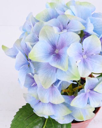 Artificial Flower 30*28*27CM Hydrange in plastic pot GS-15420014-B1 Potted Flowers&Plants YeahFlower is one of Chinese leading OEM manufacturers and exporters , supplying the silk flowers, wholesale artificial trees Artificial Flower 30*28*27CM Hydrange in plastic pot GS-15420014-B1