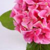 Artificial Flower 30*28*27CM Hydrange in plastic pot GS-15420014-R1 2 Artificial Flower 30*28*27CM Hydrange in plastic pot GS-15420014-R1