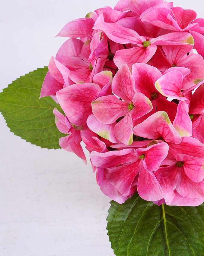 Artificial Flower 30*28*27CM Hydrange in plastic pot GS-15420014-R1 2 Artificial Flower 30*28*27CM Hydrange in plastic pot GS-15420014-R1