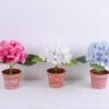 Artificial Flower 30*28*27CM Hydrange in plastic pot GS-15420014-W1