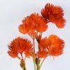 Artificial Flower 18*68CM Nephelium lappaceum L. GS-58720017-O1