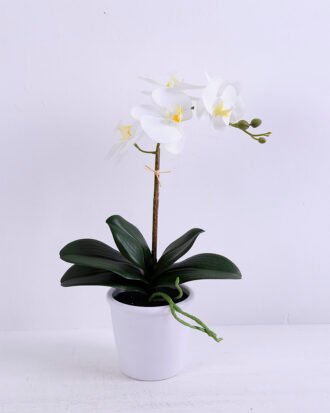 Artificial Flower 22*38CM Orchid*5 in plastic pot GS-15420013