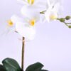 Artificial Flower 22*38CM Orchid*5 in plastic pot GS-15420013 2 Artificial Flower 22*38CM Orchid*5 in plastic pot GS-15420013