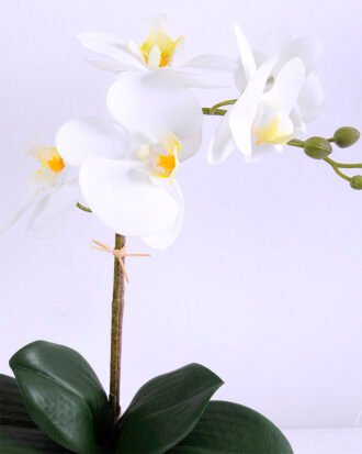Artificial Flower 22*38CM Orchid*5 in plastic pot GS-15420013