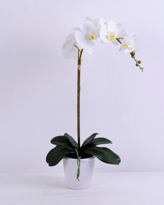 Artificial Flower 27*63CM Orchid*7 in plastic pot GS-15420011 Potted Flowers&Plants YeahFlower is one of Chinese leading OEM manufacturers and exporters , supplying the silk flowers, wholesale artificial trees Artificial Flower 27*63CM Orchid*7 in plastic pot GS-15420011