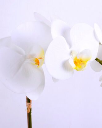 Artificial Flower 27*63CM Orchid*7 in plastic pot GS-15420011 Potted Flowers&Plants YeahFlower is one of Chinese leading OEM manufacturers and exporters , supplying the silk flowers, wholesale artificial trees Artificial Flower 27*63CM Orchid*7 in plastic pot GS-15420011