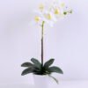 Artificial Flower 20*51CM Orchid*7 in plastic pot GS-15420012 1 Artificial Flower 20*51CM Orchid*7 in plastic pot GS-15420012