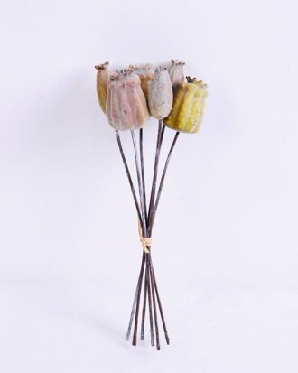 Artificial Flower 10*26CM Poppy Bush*6 GS-59020011-K1