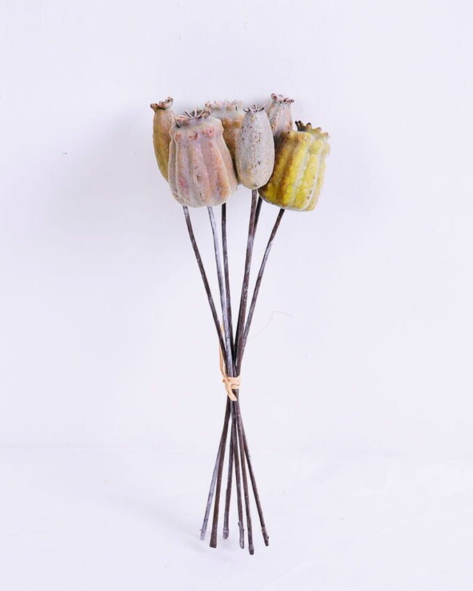 Artificial Flower 10*26CM Poppy Bush*6 GS-59020011-K1 1 Artificial Flower 10*26CM Poppy Bush*6 GS-59020011-K1