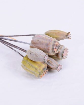 Artificial Flower 10*26CM Poppy Bush*6 GS-59020011-K1