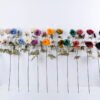 Artificial Flower 14*76CM Poppy Spray*3 GS-26220004-G1