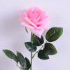 Artificial Flower 12*69CM Rose GS-05520031-P3 2 Artificial Flower 12*69CM Rose GS-05520031-P3