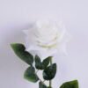 Artificial Flower 12*69CM Rose GS-05520031-W1 2 Artificial Flower 12*69CM Rose GS-05520031-W1
