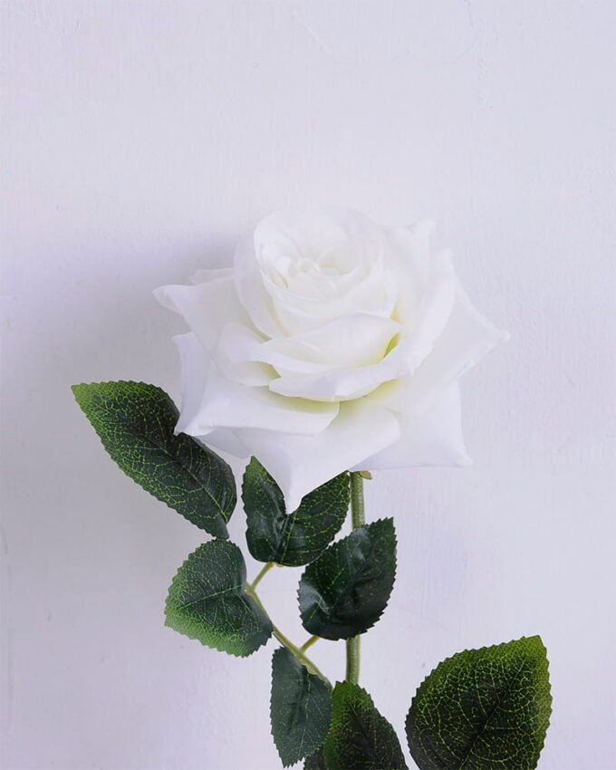 Artificial Flower 12*69CM Rose GS-05520031-W1 2 Artificial Flower 12*69CM Rose GS-05520031-W1