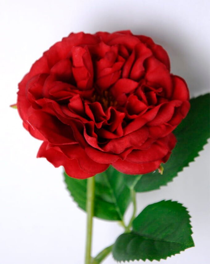 Artificial Flower 7*34CM Rose GS-46320002-R2 2 Artificial Flower 7*34CM Rose GS-46320002-R2
