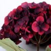 Artificial Flower 27*65CM SINGLE HYDRANGEA GS-14519055-R4 2 Artificial Flower 27*65CM SINGLE HYDRANGEA GS-14519055-R4