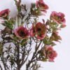 Artificial Flower 16*65CM Singel Rose GS-05520017