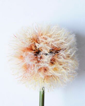 Artificial Flower 19*76CM Single Dandelion(L) GS-58720018-O1 Single Flowers YeahFlower is one of Chinese leading OEM manufacturers and exporters , supplying the silk flowers, wholesale artificial trees Artificial Flower 19*76CM Single Dandelion(L) GS-58720018-O1