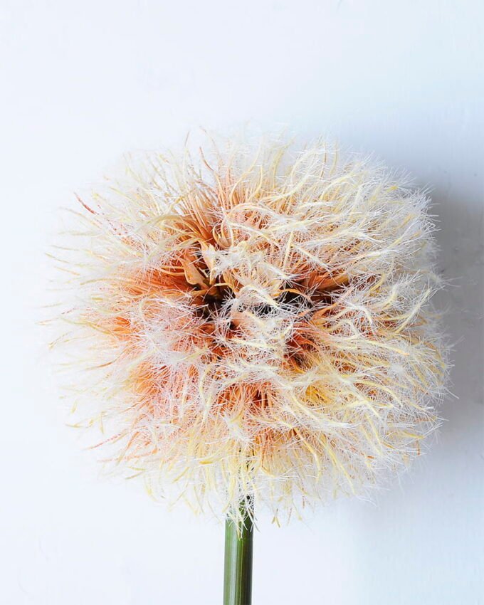 Artificial Flower 19*76CM Single Dandelion(L) GS-58720018-O1