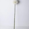 Artificial Flower 19*76CM Single Dandelion(L) GS-58720018-W1