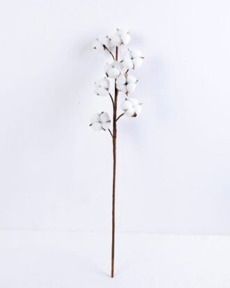 Artificial Flower 15*72CM Single artifircial cotton*8 GS-33520002 Single Flowers YeahFlower is one of Chinese leading OEM manufacturers and exporters , supplying the silk flowers, wholesale artificial trees Artificial Flower 15*72CM Single artifircial cotton*8 GS-33520002
