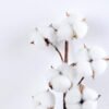 Artificial Flower 15*72CM Single artifircial cotton*8 GS-33520002