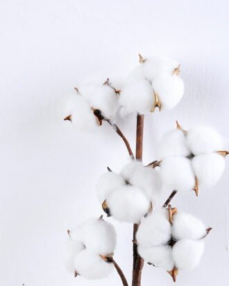 Artificial Flower 15*72CM Single artifircial cotton*8 GS-33520002 Single Flowers YeahFlower is one of Chinese leading OEM manufacturers and exporters , supplying the silk flowers, wholesale artificial trees Artificial Flower 15*72CM Single artifircial cotton*8 GS-33520002