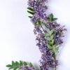 Artificial Flower 28*130CM Sophora Flowers Spray GS-58720002-Z1 2 Artificial Flower 28*130CM Sophora Flowers Spray GS-58720002-Z1