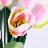 Artificial Flower 22*51CM Tulip*7 GS-05520030-P1